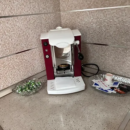 Sophia Daily * ティラナ