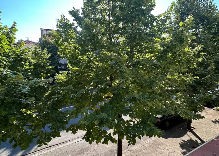 Apartment Sophia Daily Tirana