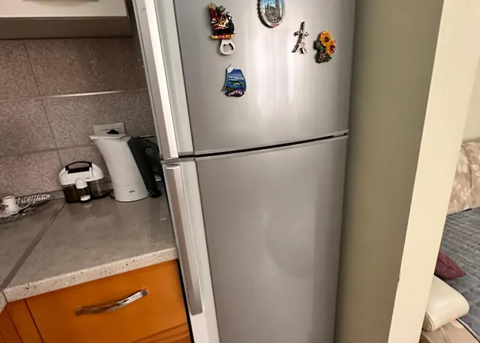 Sophia Daily Apartment *